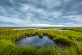 14mm wide angle landscape photo of wind swept salt marsh under cloudy gray skies.