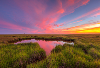 14mm wide angle sunset photograph of colorful pastel clouds overtop green salt marsh and reflected in the tide pool.