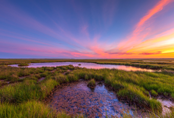 14mm wide angle sunset photo at Cedar Run Dock Road salt marsh. Pinks, yellows, oranges, and blues color the sky over green marsh grasses.