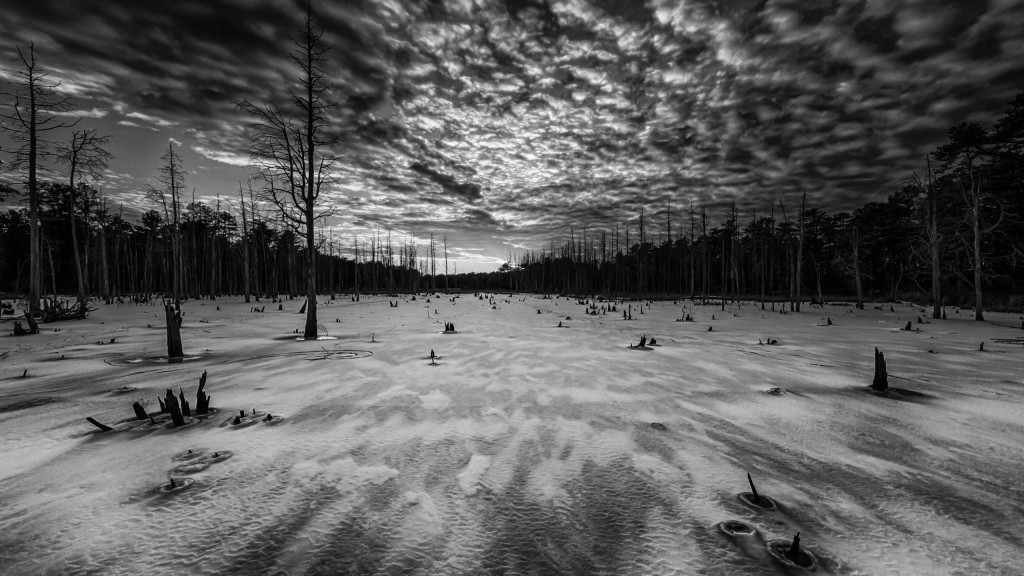 A dark sepia HDR photograph of a frozen wetland of the Stafford Forge Wildlife Management Area taken just before sunset