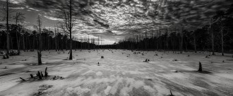 A dark sepia HDR photograph of a frozen wetland of the Stafford Forge Wildlife Management Area taken just before sunset
