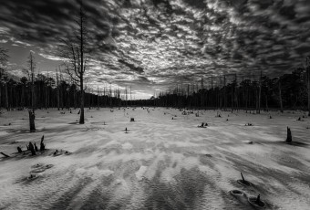 A dark sepia HDR photograph of a frozen wetland of the Stafford Forge Wildlife Management Area taken just before sunset