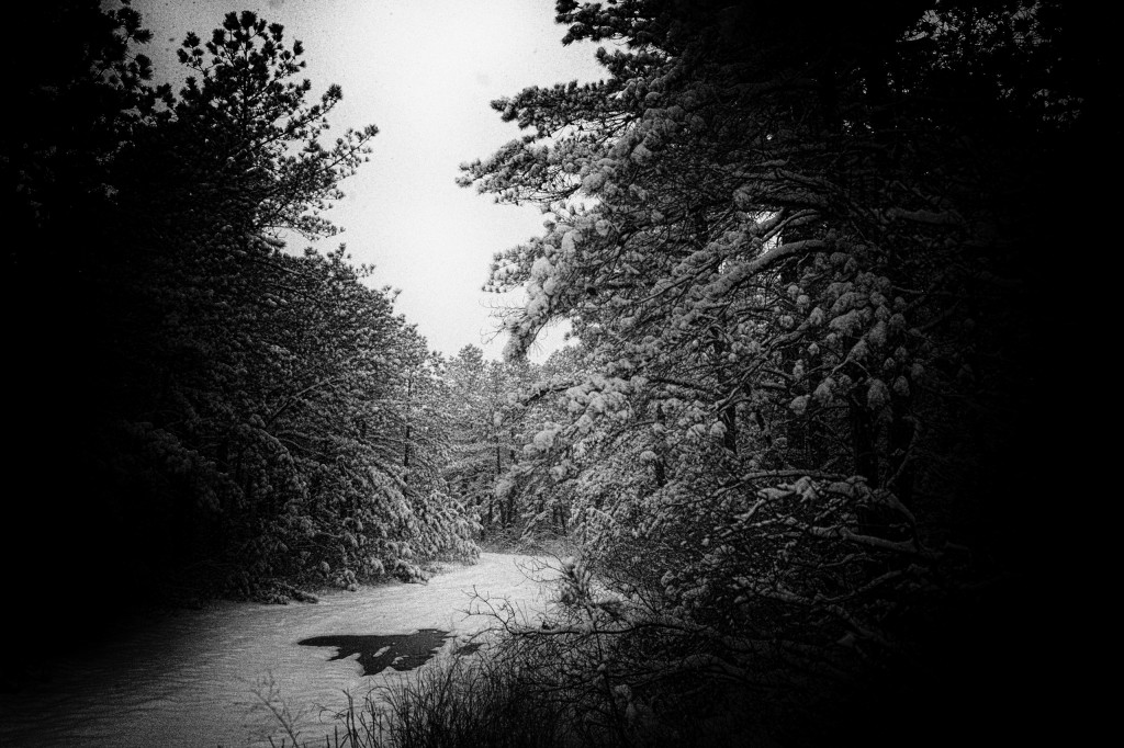 Manahawkin photographer Greg Molyneux's black and white photograph of a snowy trail turning off to the left in the Pinelands. This photograph features a grainy treatment and stark black and white contrast juxtaposing the light and dark. All light focuses on the path.