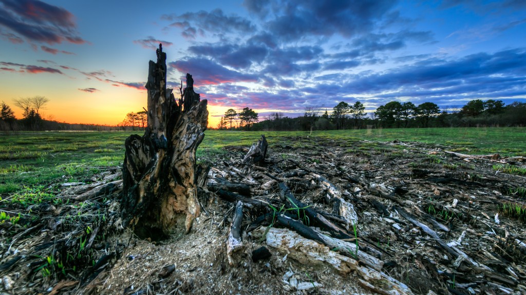 An HDR photograph take just after sunset from the Stafford Forge Wildlife Management Area. The foreground is marked by the charred remains of a lone tree stump. Fresh grasses begin to fill in the ashen remains.