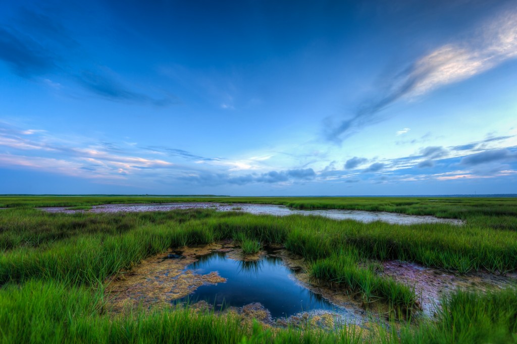 A wide angle HDR photograph taken during golden hour overlooking a tidal pool and glowing green salt marsh.