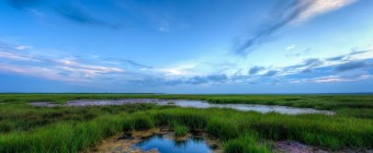 A wide angle HDR photograph taken during golden hour overlooking a tidal pool and glowing green salt marsh.