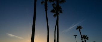A sunset photograph taken during peak summer at the Huntington Beach, California, pier. A young man kicks up dust as he walks between palm trees with beautiful twilight approaching.