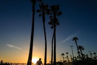 A sunset photograph taken during peak summer at the Huntington Beach, California, pier. A young man kicks up dust as he walks between palm trees with beautiful twilight approaching.