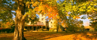A golden hour HDR photograph of the Batsto Village Mansion framed behind a large maple tree ablaze in Fall color orange leaves