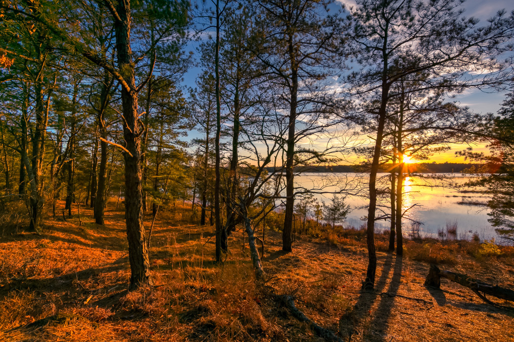 Rich golden hour sunlight washes over Stafford Forge pouring yellow light throughout the trees of the Pinelands in this HDR photograph.