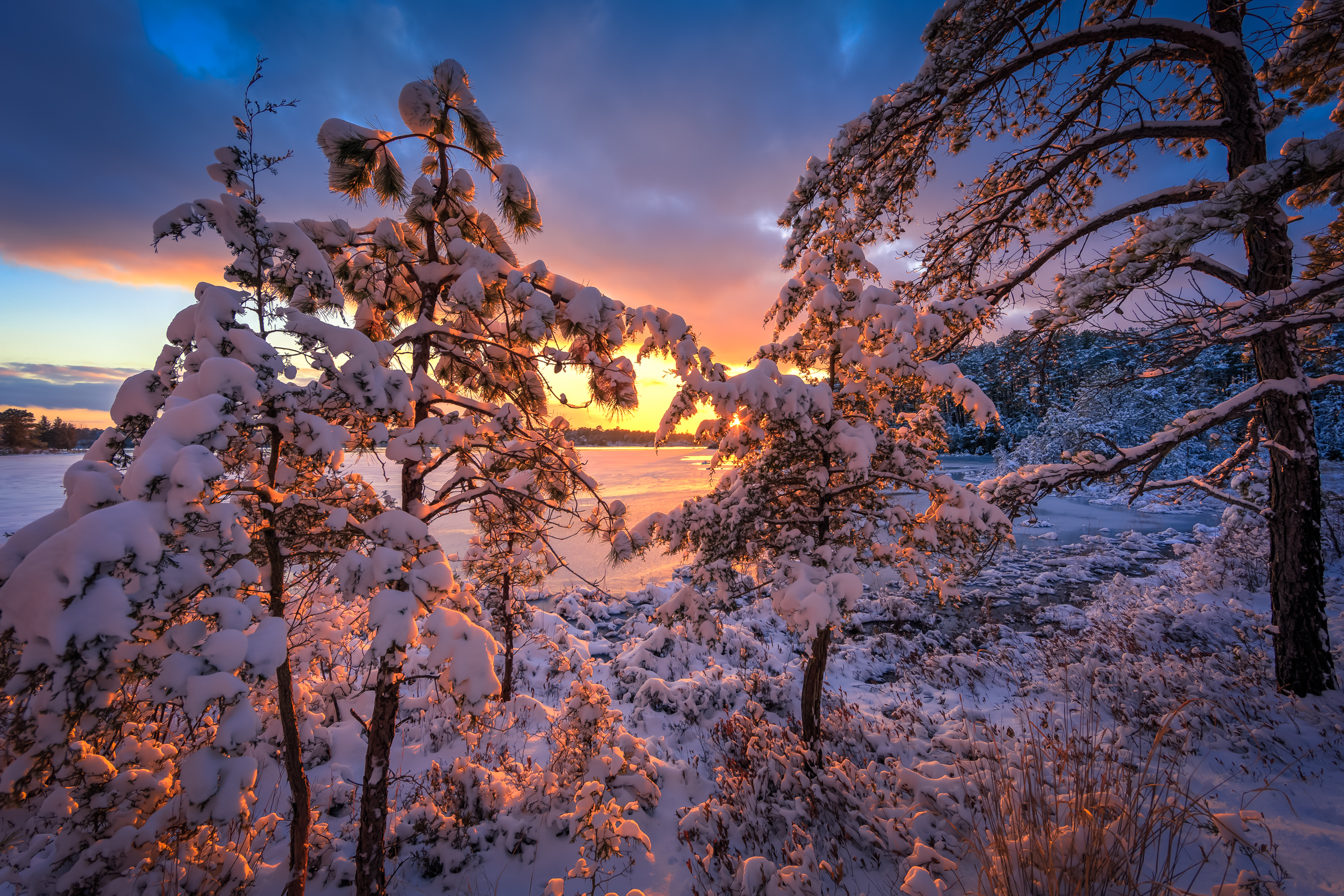 World class golden hour is magnified by the fresh fallen snow in this HDR photograph taken in the New Jersey Pinelands