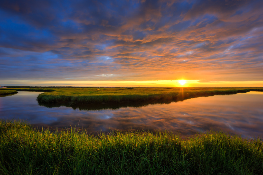 HDR photograph of sunrise over the green marsh of Cedar Run Dock Road.