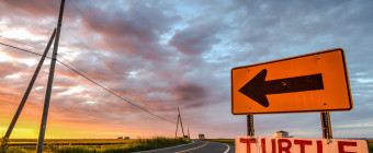 Vibrant road signs photographed at sunrise