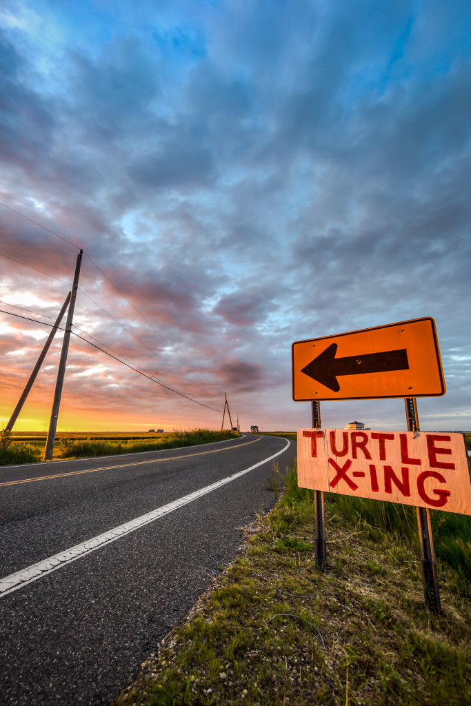 Vibrant road signs photographed at sunrise