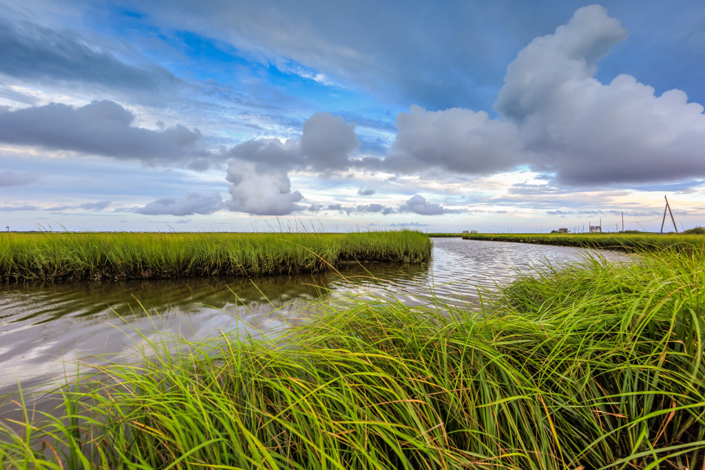 Wide angle photograph of blue skies, cumulus clouds, estuary and marsh