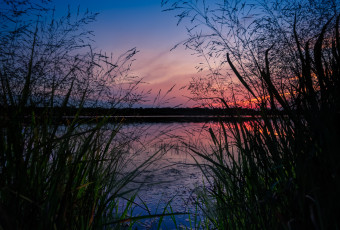 Square format HDR photograph of marsh grass and lake at blue hour