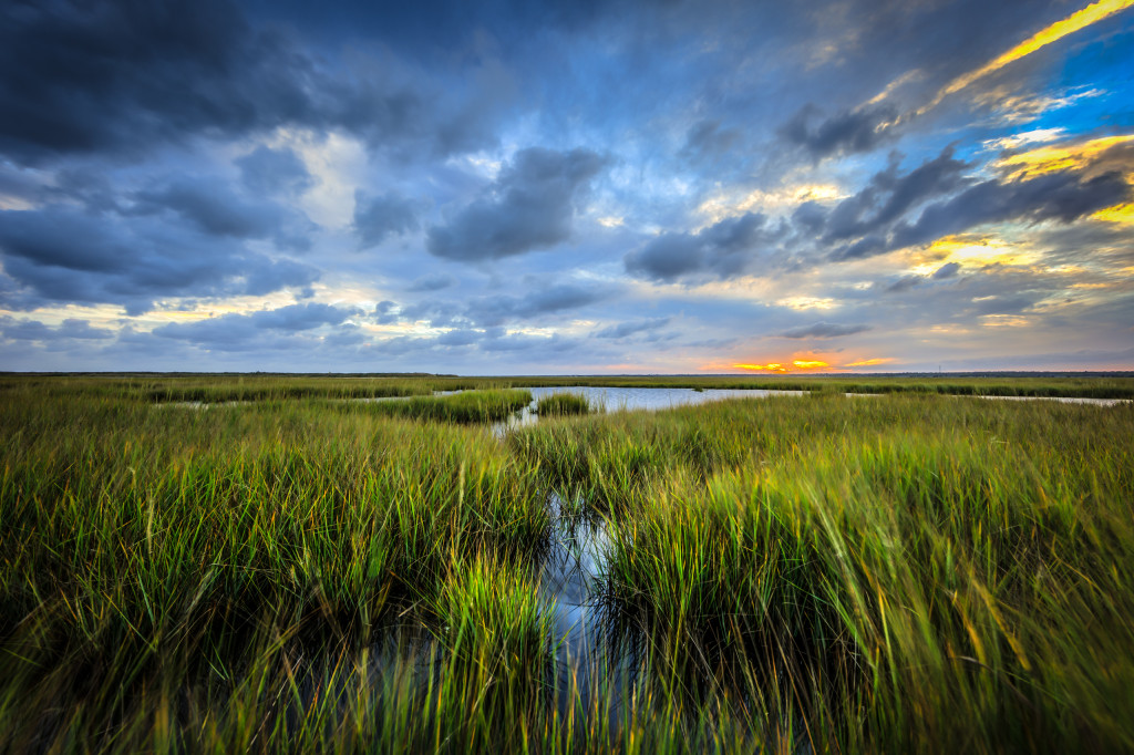 Golden hour wide angle HDR landscape photograph of clouds and marsh
