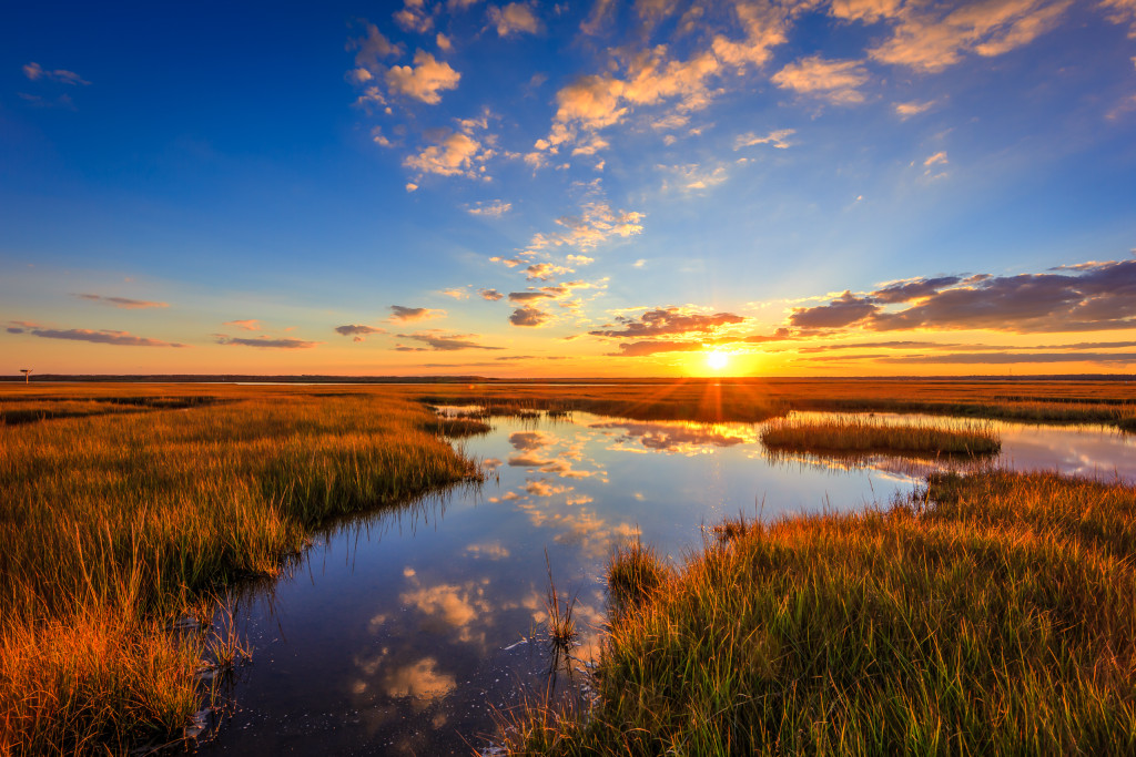 Wide angle HDR photograph of a vibrant golden hour over marsh