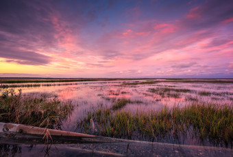 Wide angle HDR photograph of sunset over remnants of Joaquin tidal flooding on the Dock Road salt marsh