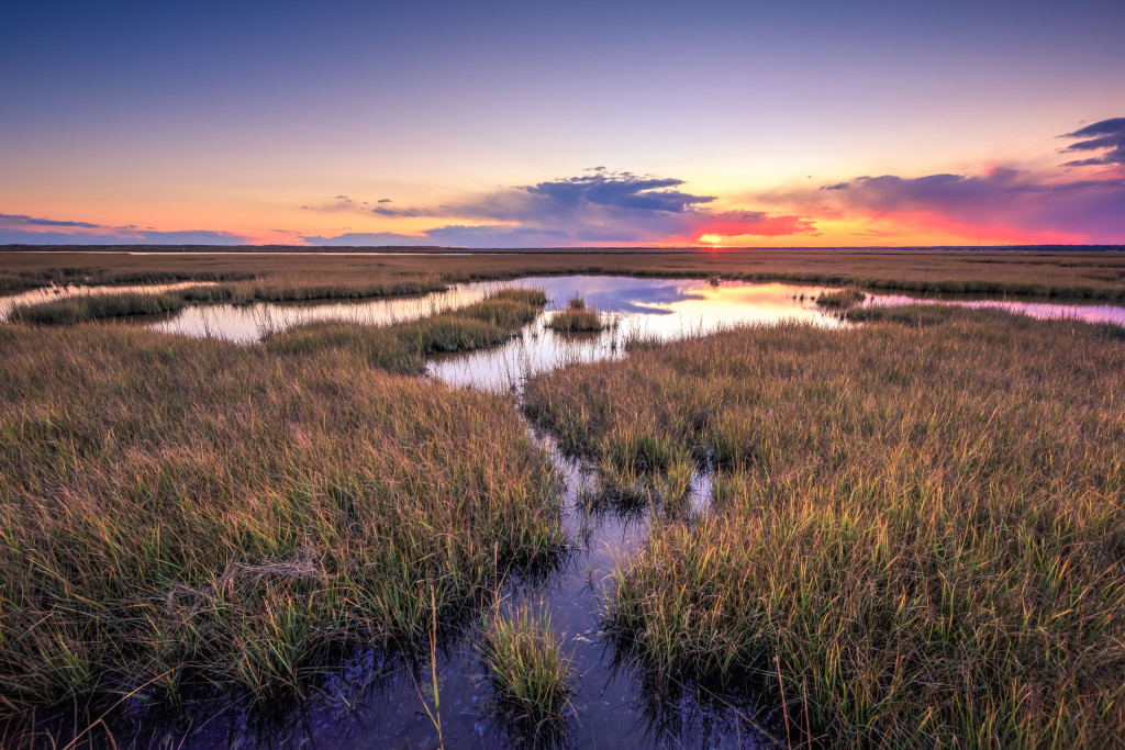 HDR landscape photograph taken at sunset over tide pools and marsh