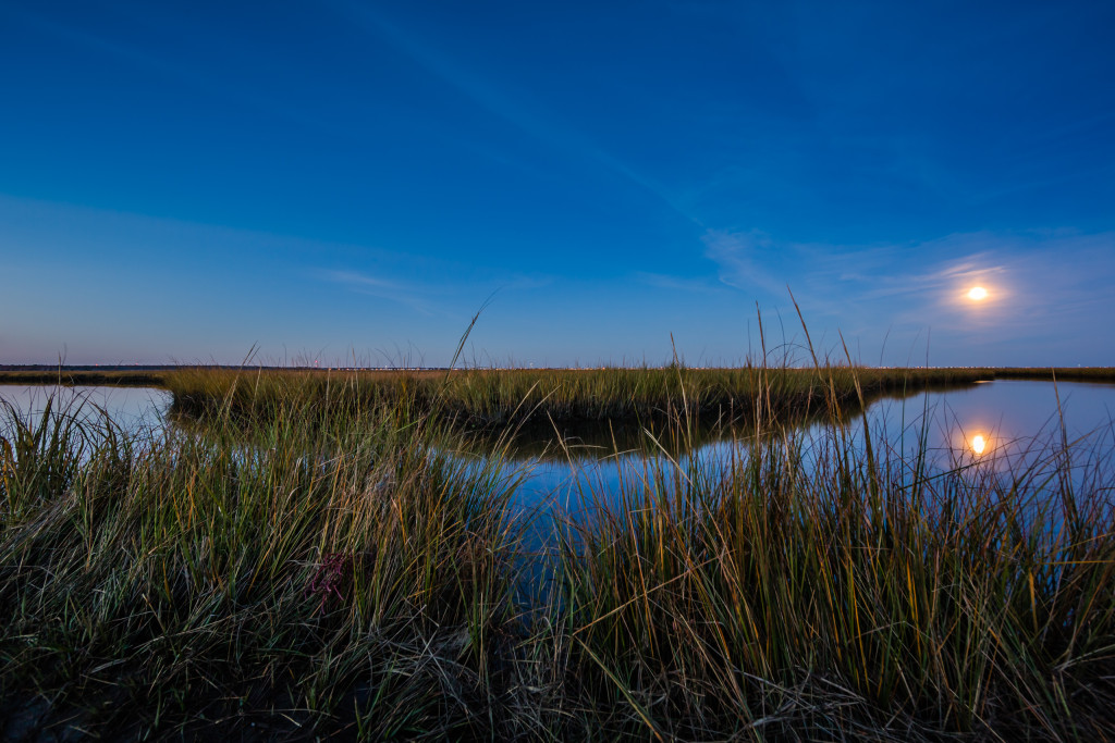 Wide angle landscape photograph of a Full Moon over marsh at blue hour