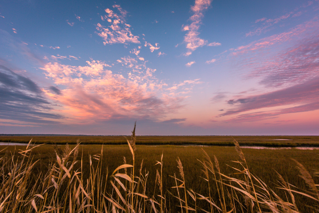 Wide angle landscape photograph of pastel clouds over phragmites and marsh at sunset