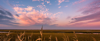 Wide angle landscape photograph of pastel clouds over phragmites and marsh at sunset