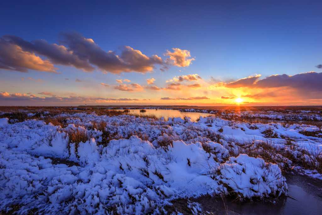 Landscape photograph of a snowy mid-Atlantic salt marsh at sunset