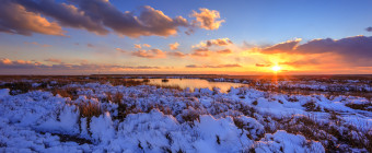 Landscape photograph of a snowy mid-Atlantic salt marsh at sunset