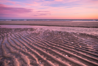 Vertical orientation photograph with strong leading lines in the sand underneath a pastel sunset