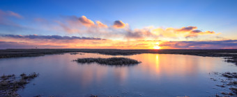 Sunset photograph of salt marsh just frozen over