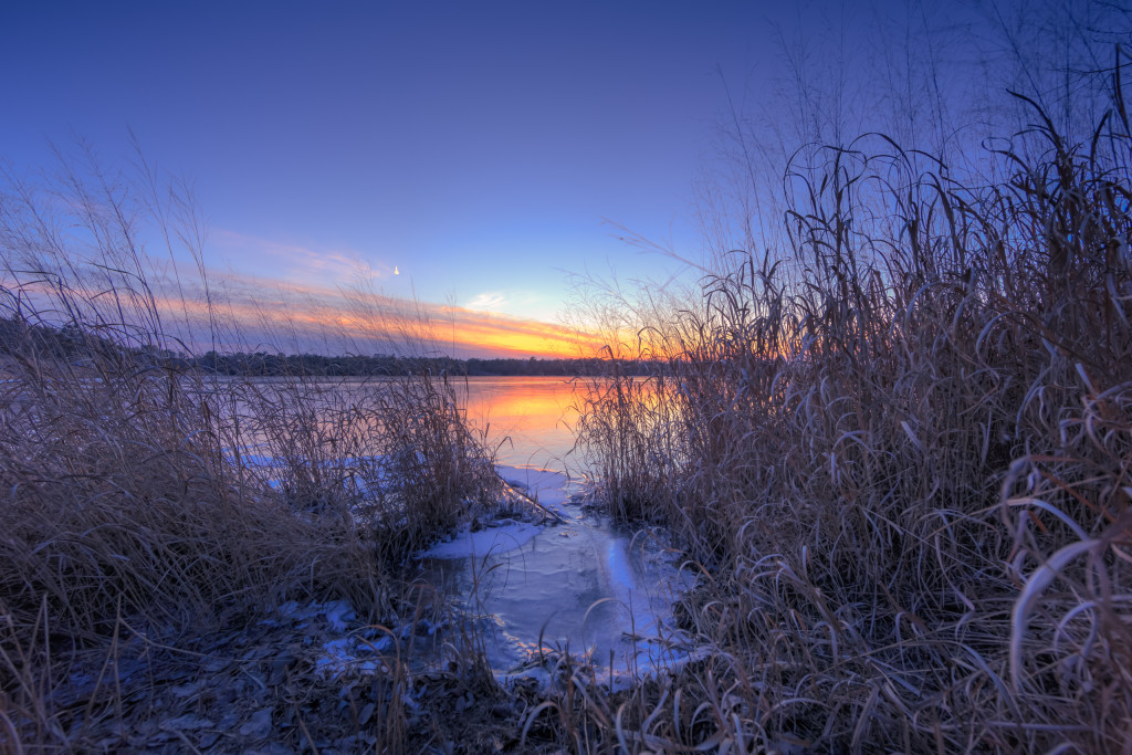 Blue hour photograph taken among marsh grass at a frozen Stafford Forge