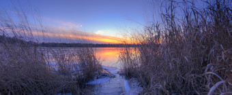Blue hour photograph taken among marsh grass at a frozen Stafford Forge