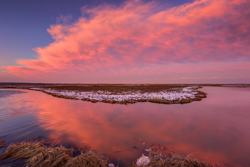 Landscape photograph of pastel clouds over marsh at sunset