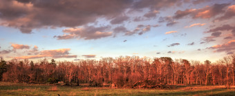 Golden hour landscape photograph made over a freshly cleared grove at Stafford Forge