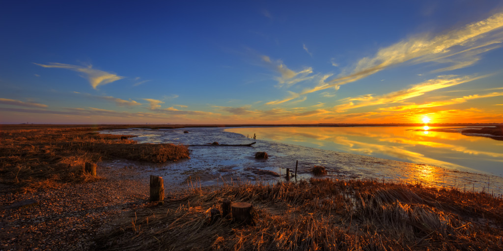 Golden hour photo of dead low tide at the Great Bay Boulevard salt marsh