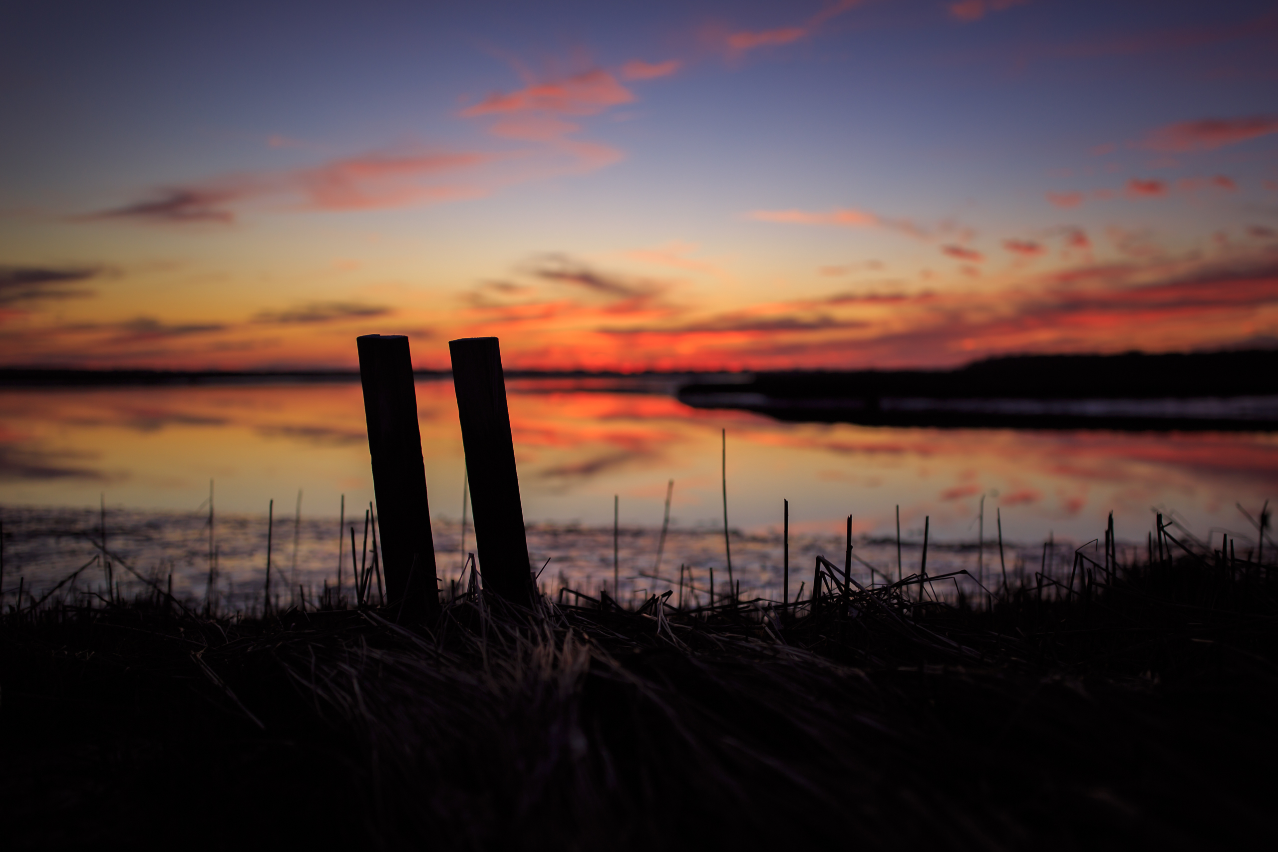 Low key sunset photo of two pieces of wood standing upright in a marsh