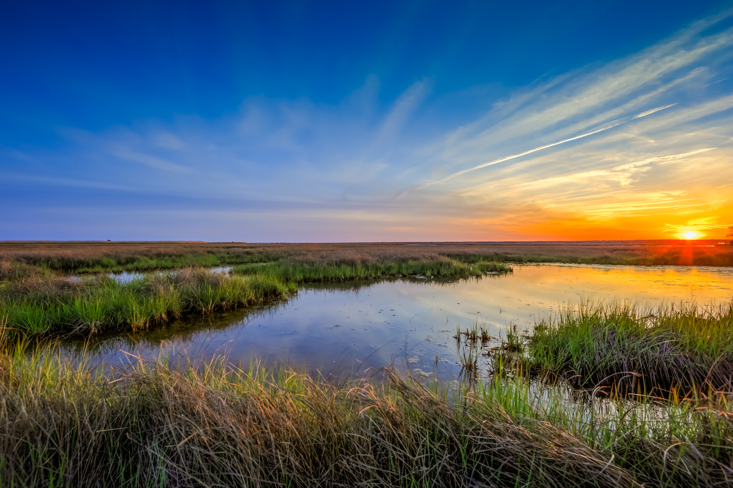 Wide angle landscape sunset photo revealing spring's return to the marsh with the greening sedge