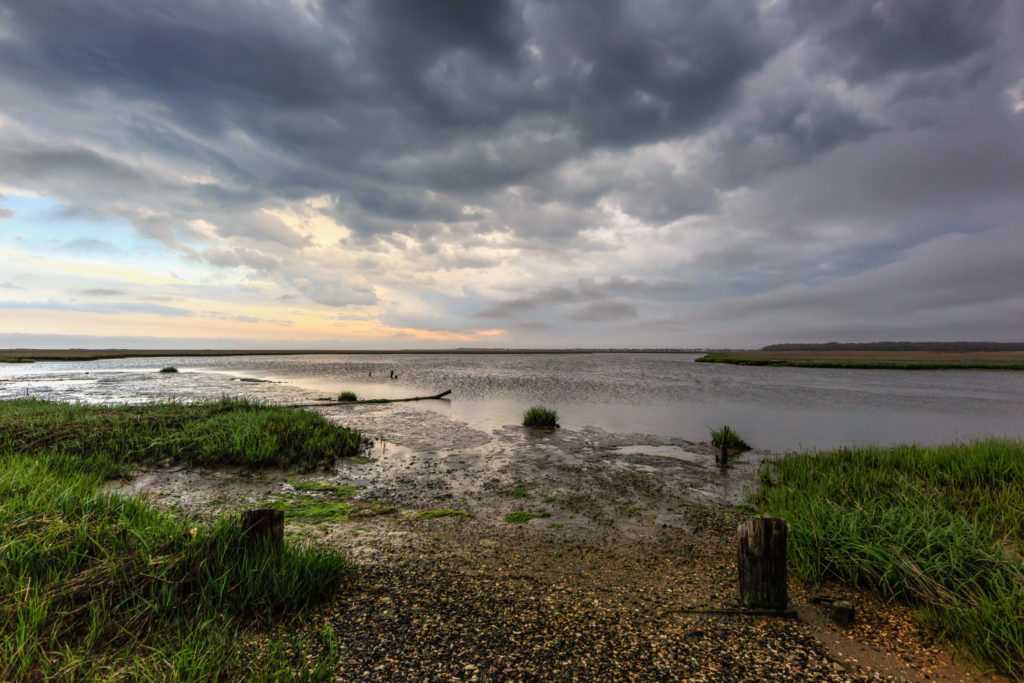 Wide angle landscape photograph of ominous storm clouds rolling over a lush green salt marsh