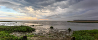 Wide angle landscape photograph of ominous storm clouds rolling over a lush green salt marsh