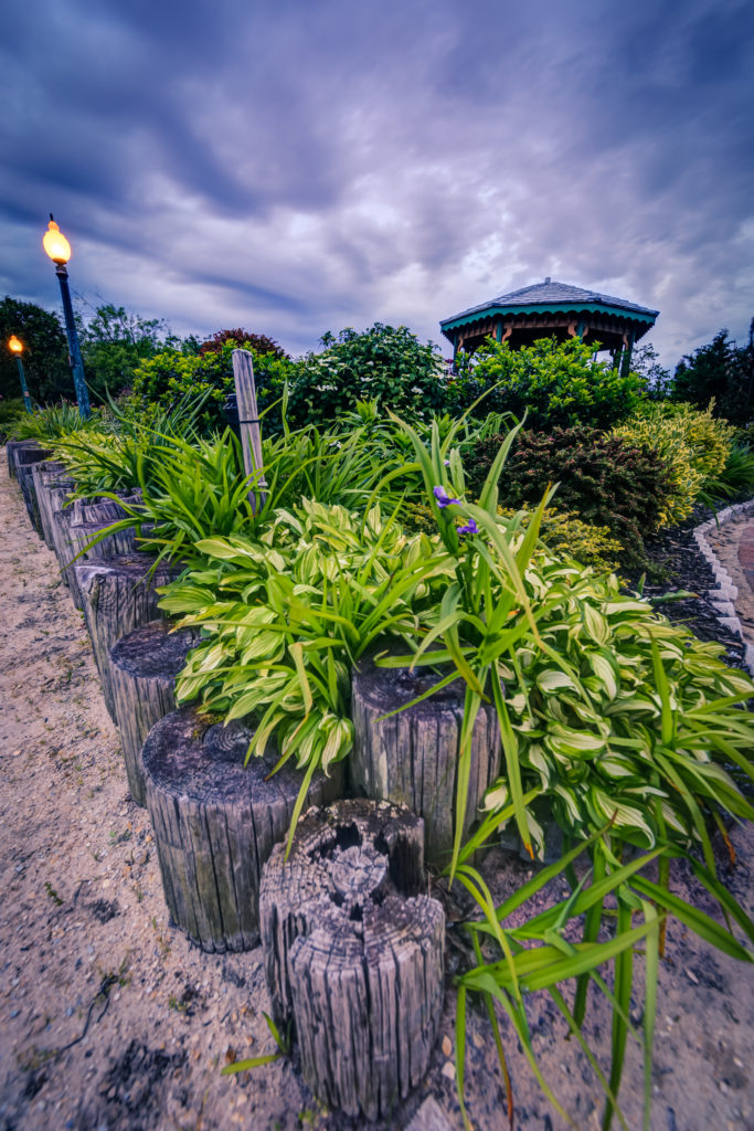 Vertical orientation wide angle photograph of well manicured plant life and gazebo at blue hour