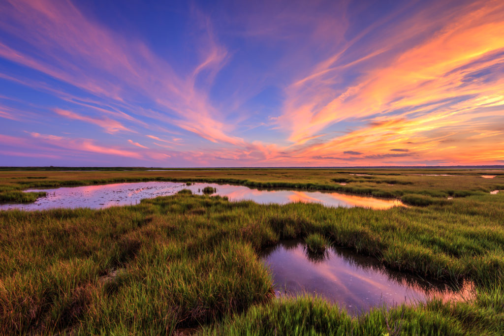 HDR sunset photograph featuring cirrus clouds colored in rich pastels over vivid green salt marsh.