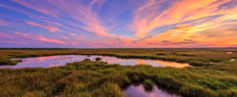 HDR sunset photograph featuring cirrus clouds colored in rich pastels over vivid green salt marsh.