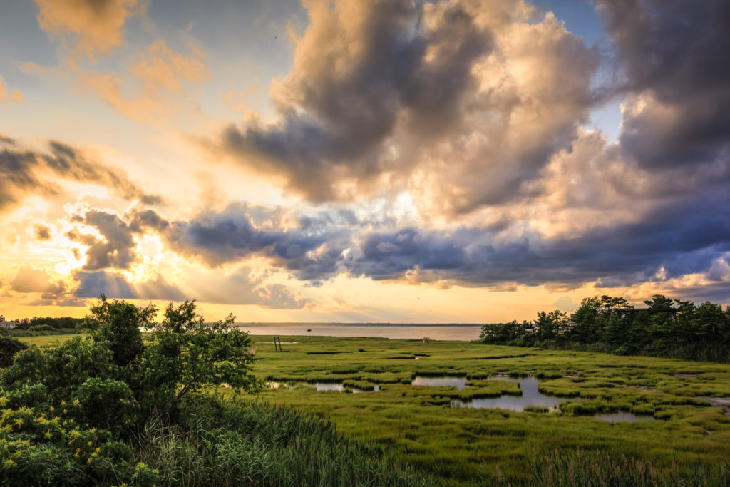 Golden hour photo from LBIF marsh featuring crepuscular rays.