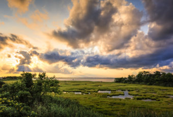Golden hour photo from LBIF marsh featuring crepuscular rays.
