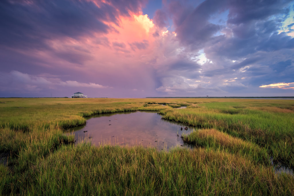 Sunset photo of a pink cumulus cloud over marsh.