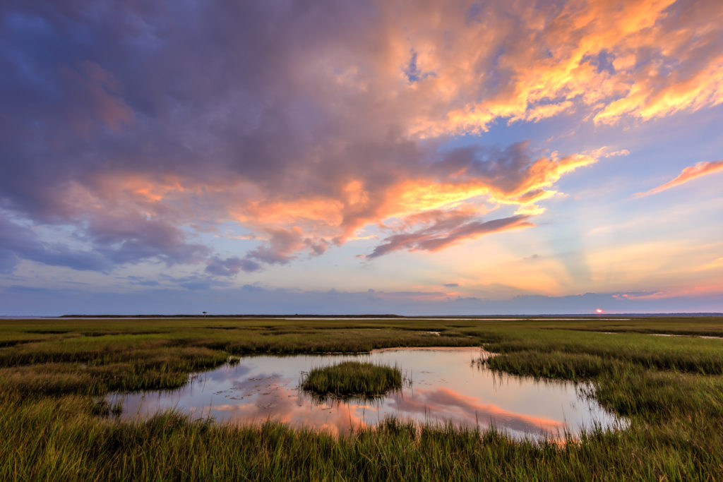 Sunset photograph of anticrepuscular rays coloring clouds over the marsh.