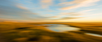 Motion blur photo of marsh at golden hour.