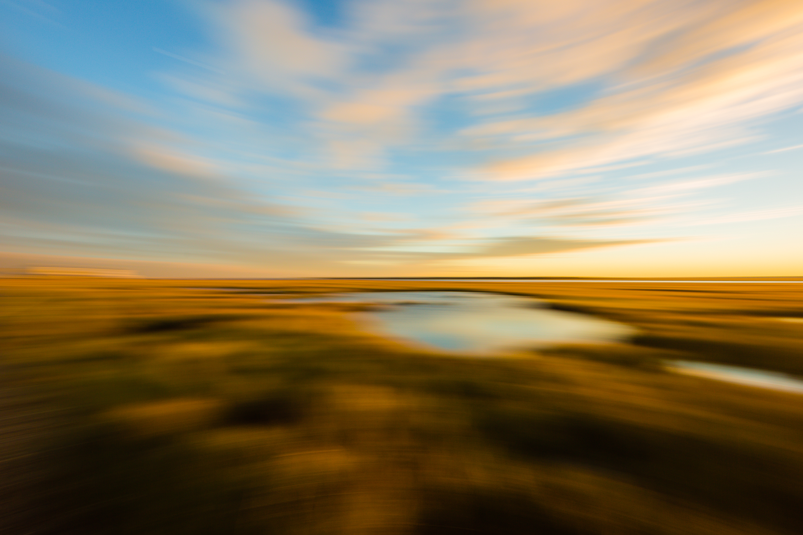 Motion blur photo of marsh at golden hour.