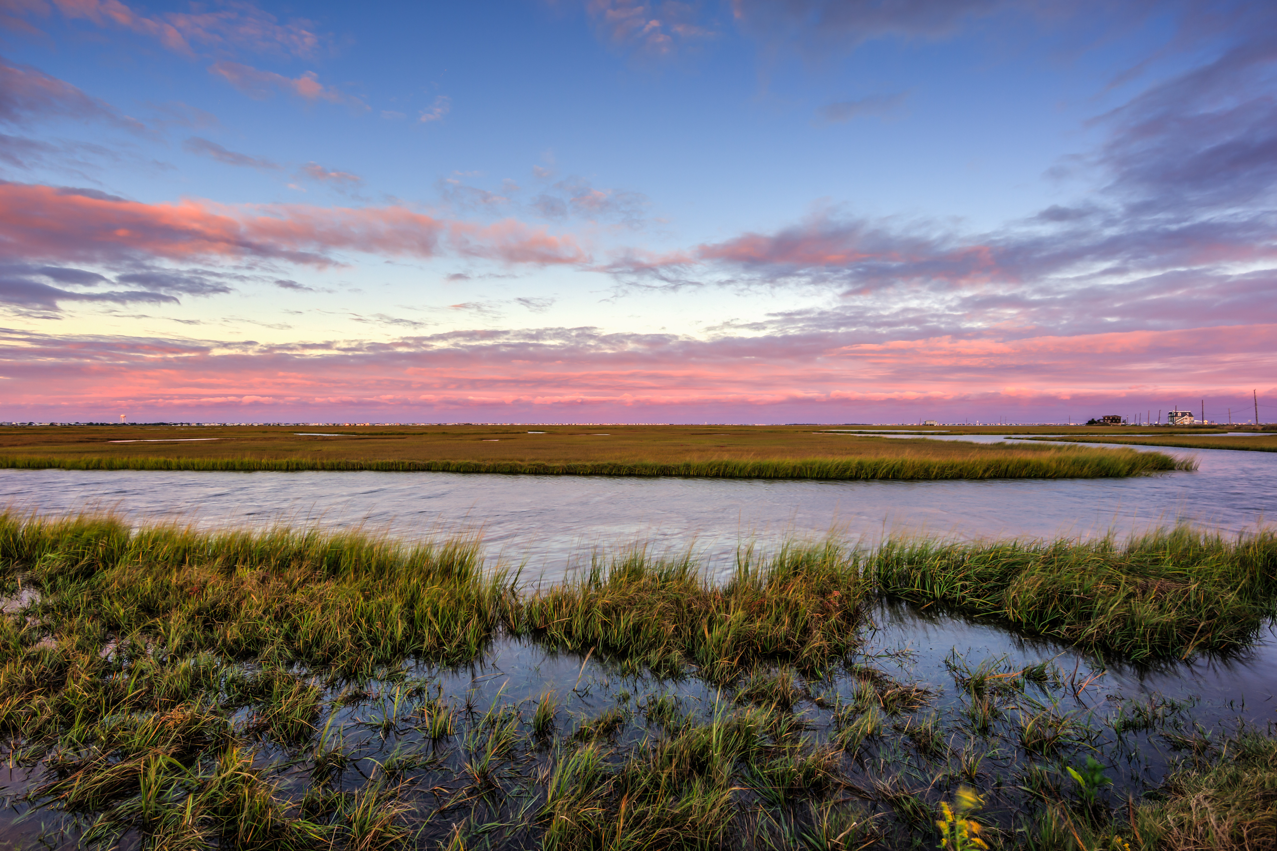 Blue hour photo of pink and purple clouds over marshland.